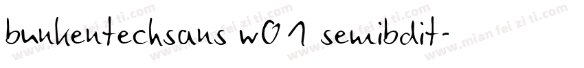 bunkentechsans w01 semibdit字体转换